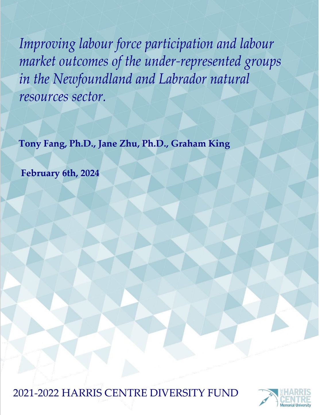 Improving labour force participation and labour market outcomes of the under-represented groups in the Newfoundland and Labrador natural resources sector